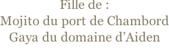Fille de : Mojito du port de Chambord Gaya du domaine d’Aiden